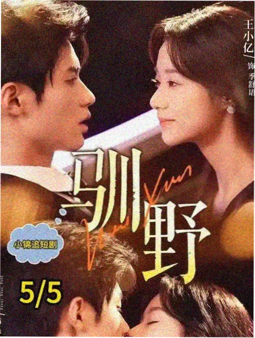 暗巷灯火 电视剧在线观看